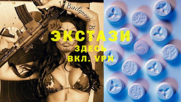 ПСИЛОЦИБИНОВЫЕ ГРИБЫ Няндома