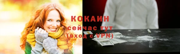 ПСИЛОЦИБИНОВЫЕ ГРИБЫ Няндома