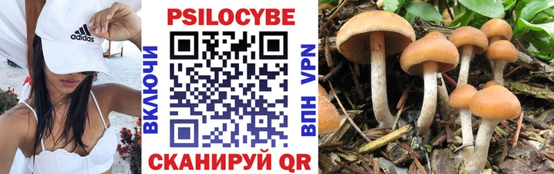 Псилоцибиновые грибы GOLDEN TEACHER Великий Устюг