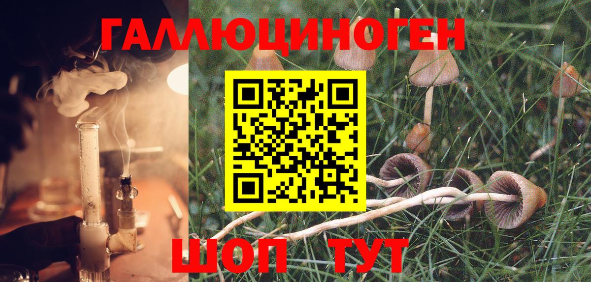 Псилоцибиновые грибы Cubensis  Великий Устюг  наркошоп  Псилоцибиновые грибы MAGIC MUSHROOMS 